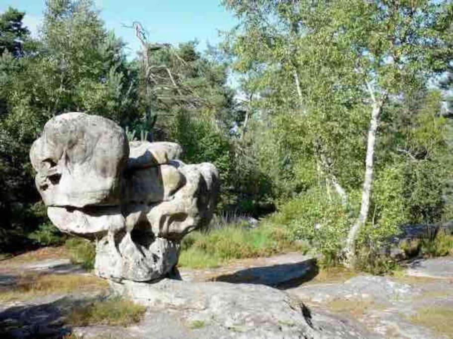 La Pause Allongee - Fontainebleau Hypercentre エクステリア 写真